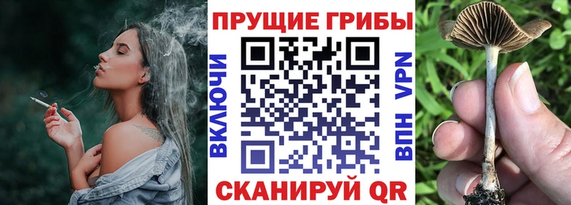 kraken ONION Заволжск Псилоцибиновые грибы MAGIC MUSHROOMS